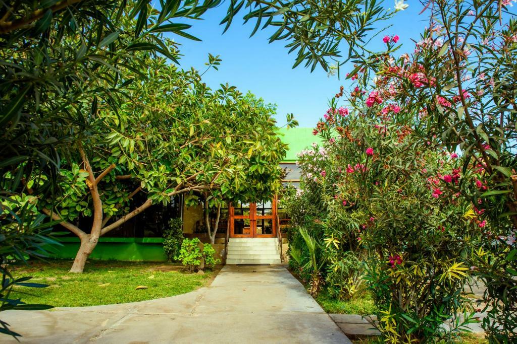 Hotel Del Valle Azapa Arica Kültér fotó